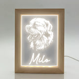 Illuminated LED Frame with Etched Pet Image