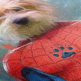 Spidey - Custom Pet Portrait Canvas