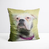 Traditional Yellow Hue - Custom Pet Portrait Cushion