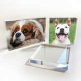 Personalised Pet Photograph Block