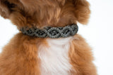 Braided Paracord Collars