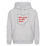 This Must Be THE Place Men's Hoodie - ash 